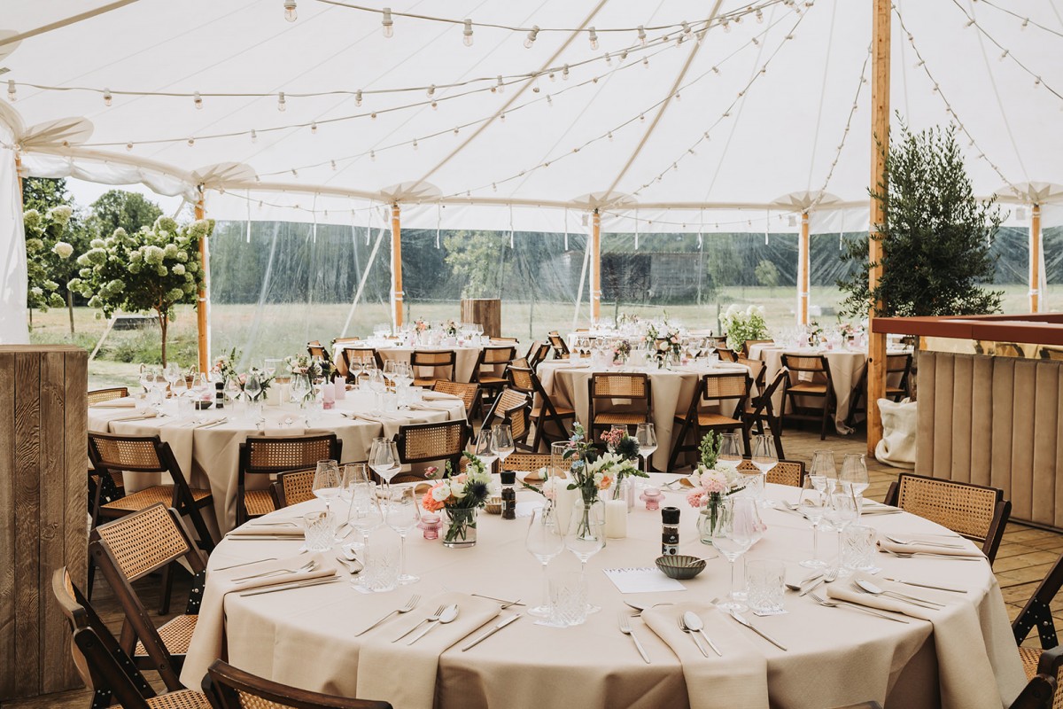 Levi Party Rental