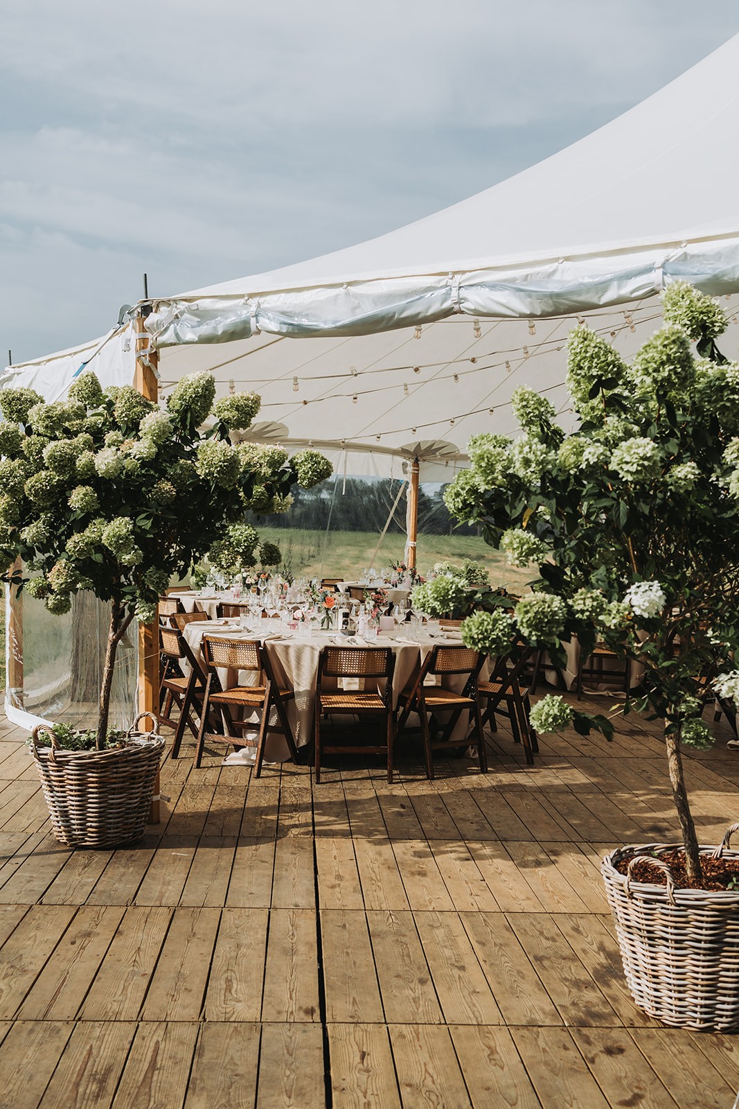 Levi Party Rental