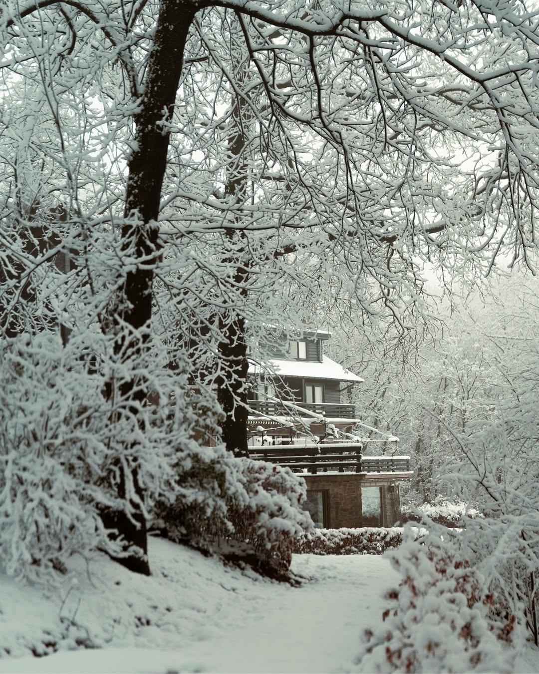 Hostellerie Kemmelberg
