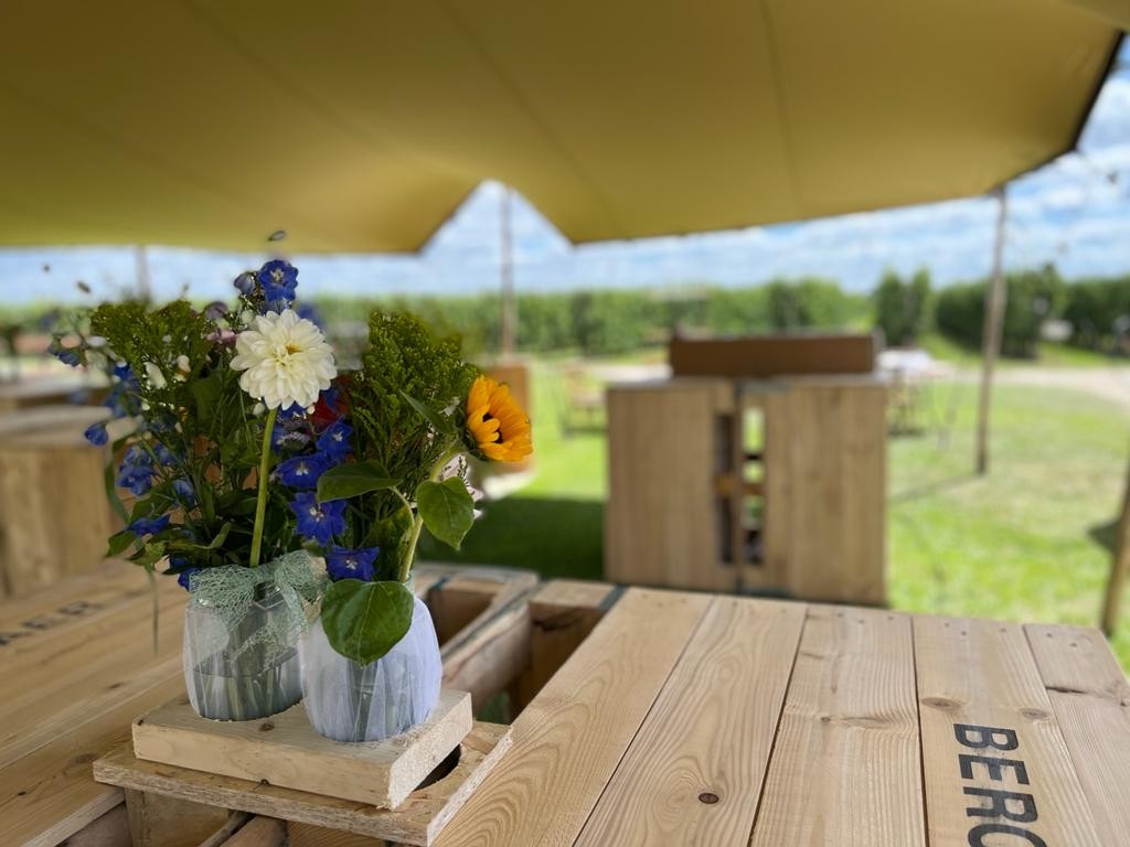 Tipi Solutions