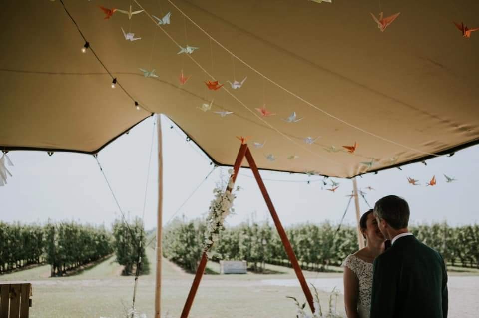 Tipi Solutions