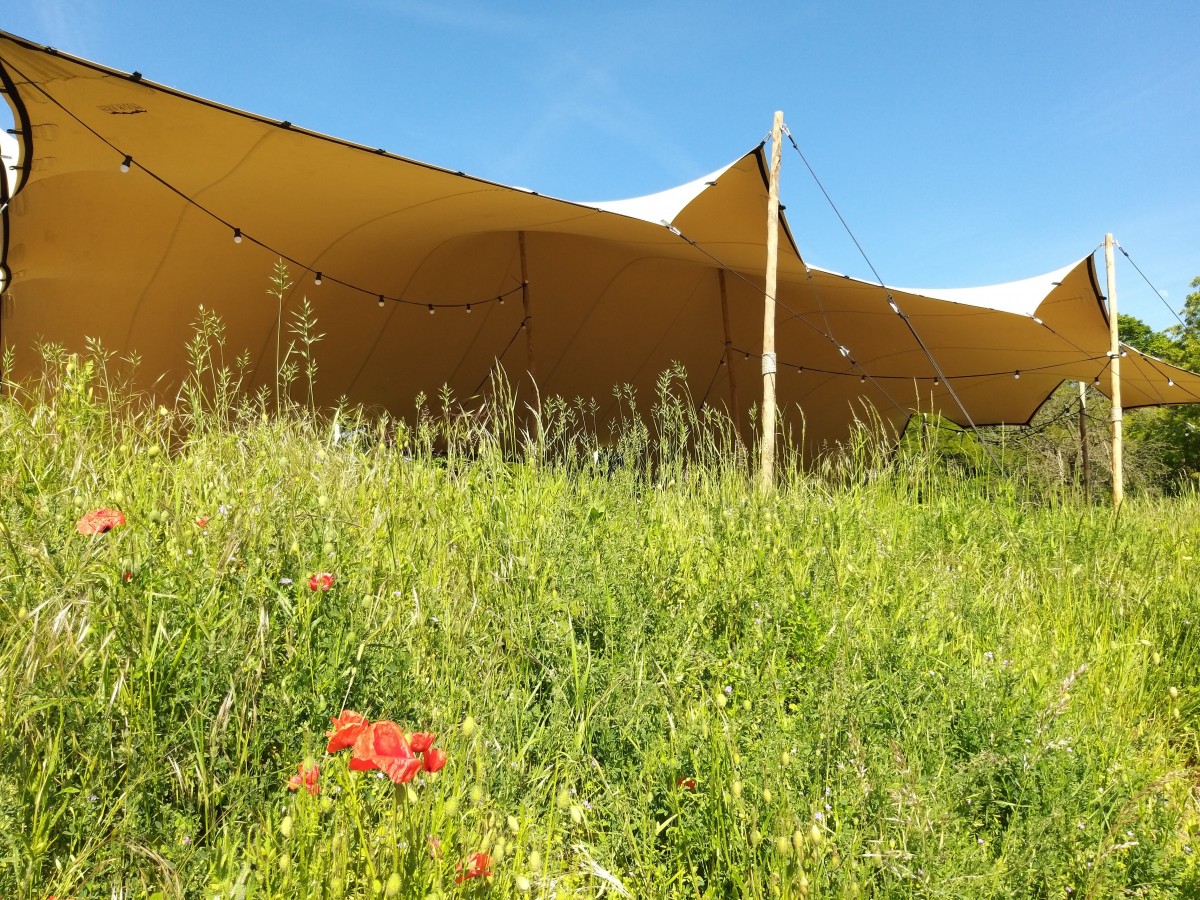 Tipi Solutions