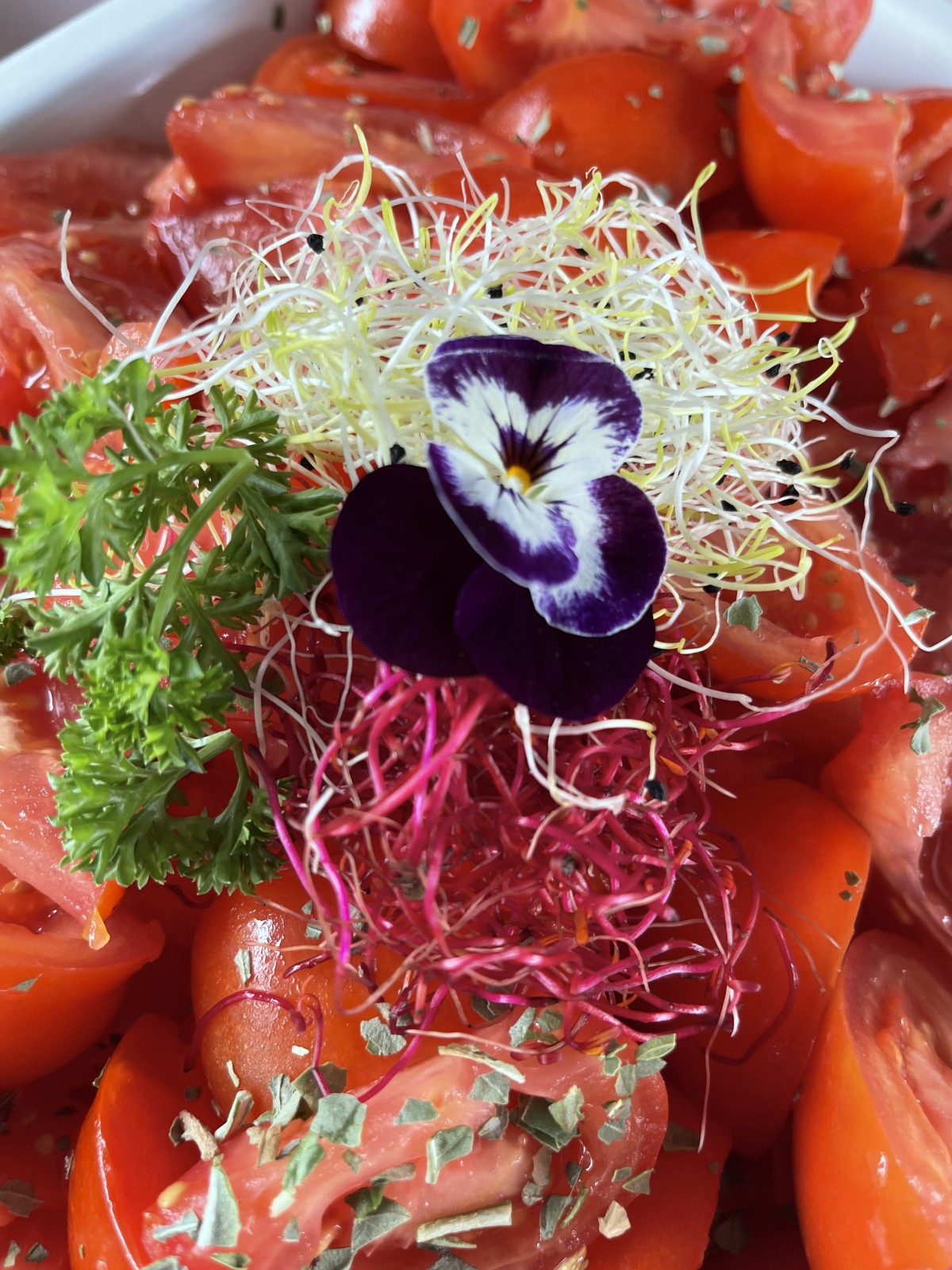 Brieks Traiteur & Catering