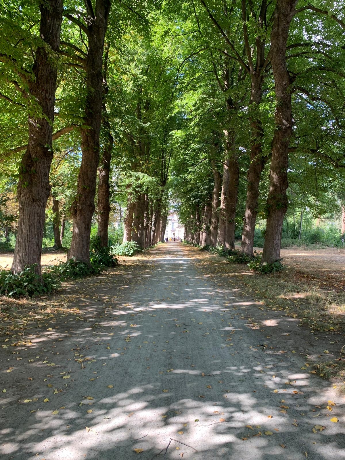 Lotuspoort