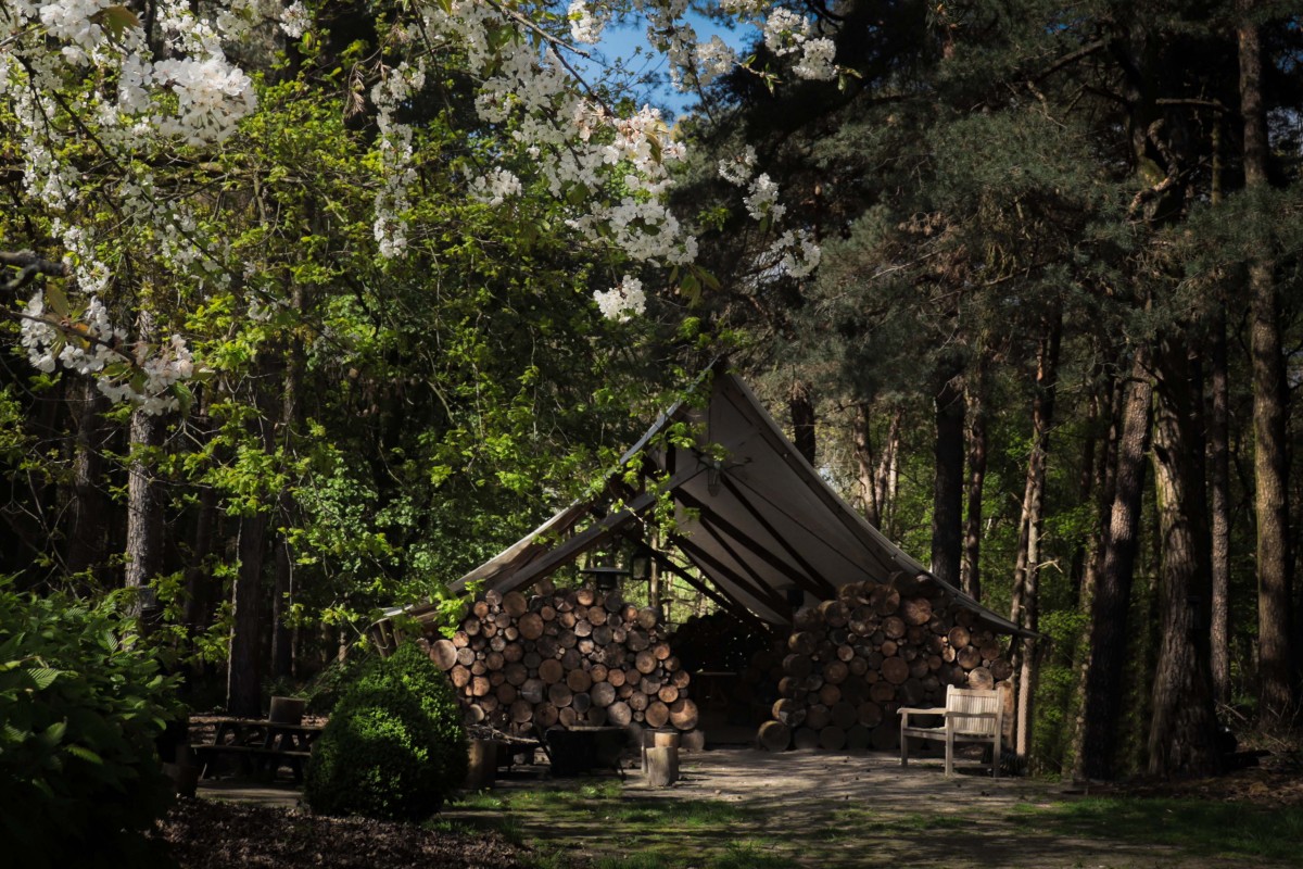 LLodge
