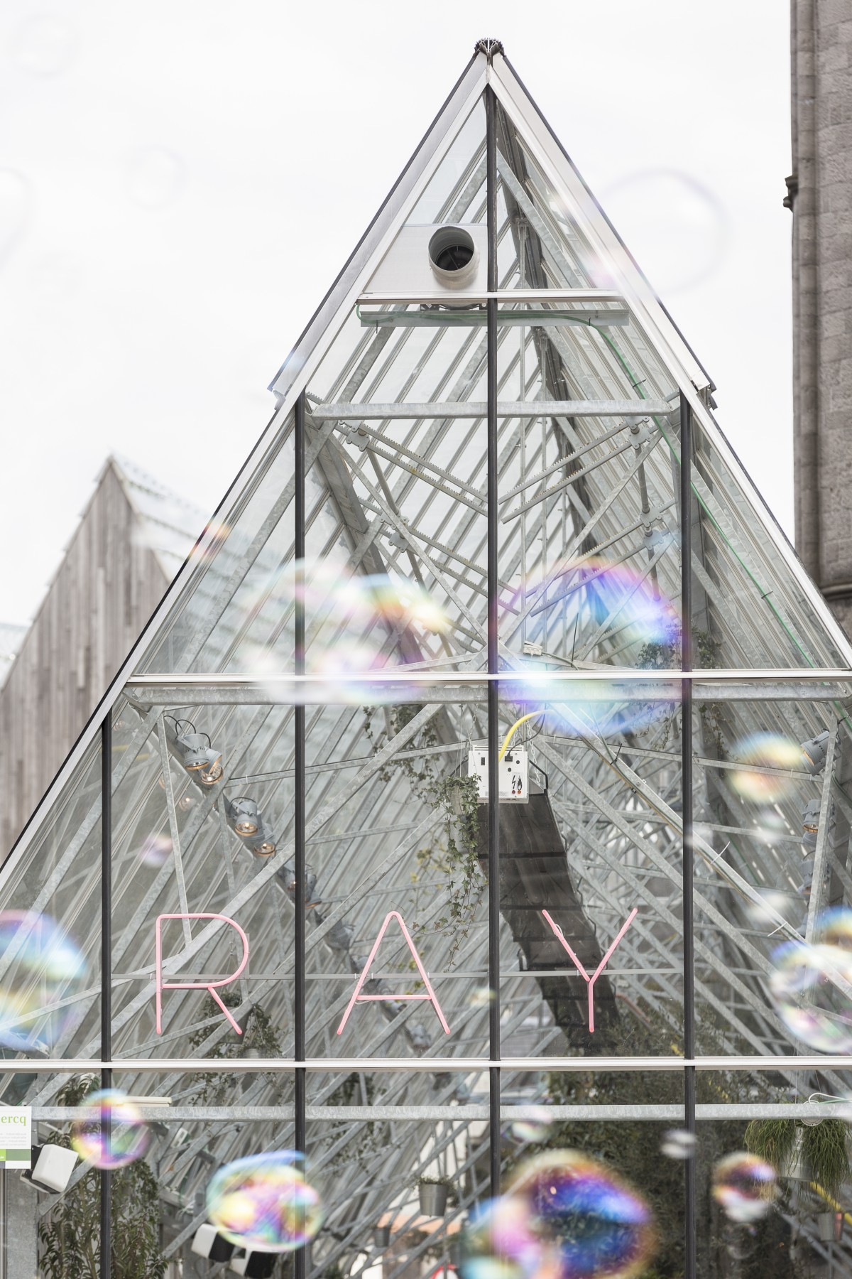 RAY