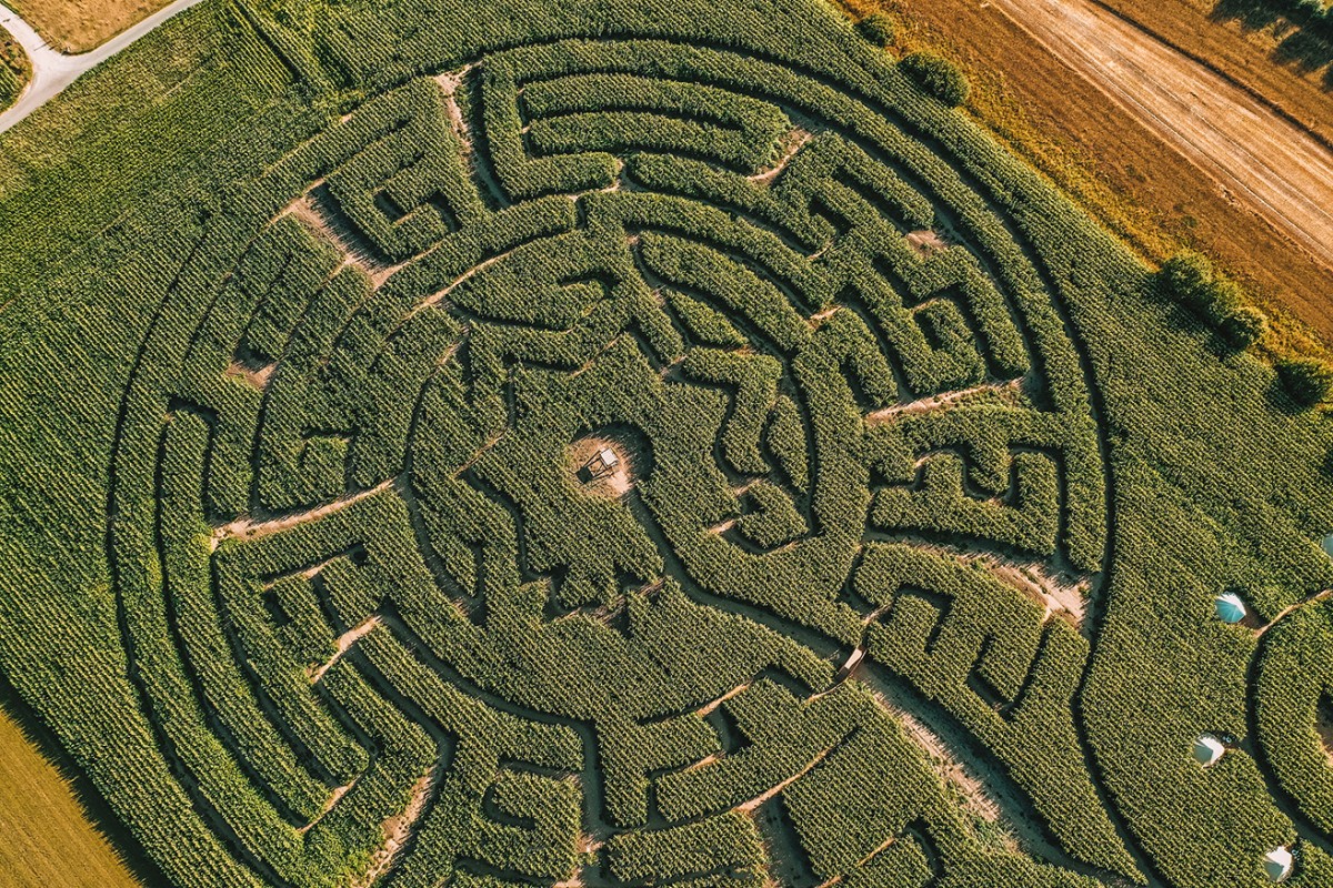Maïsterplan