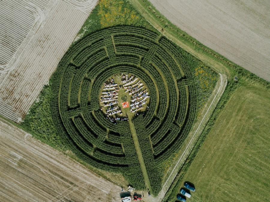 Maïsterplan