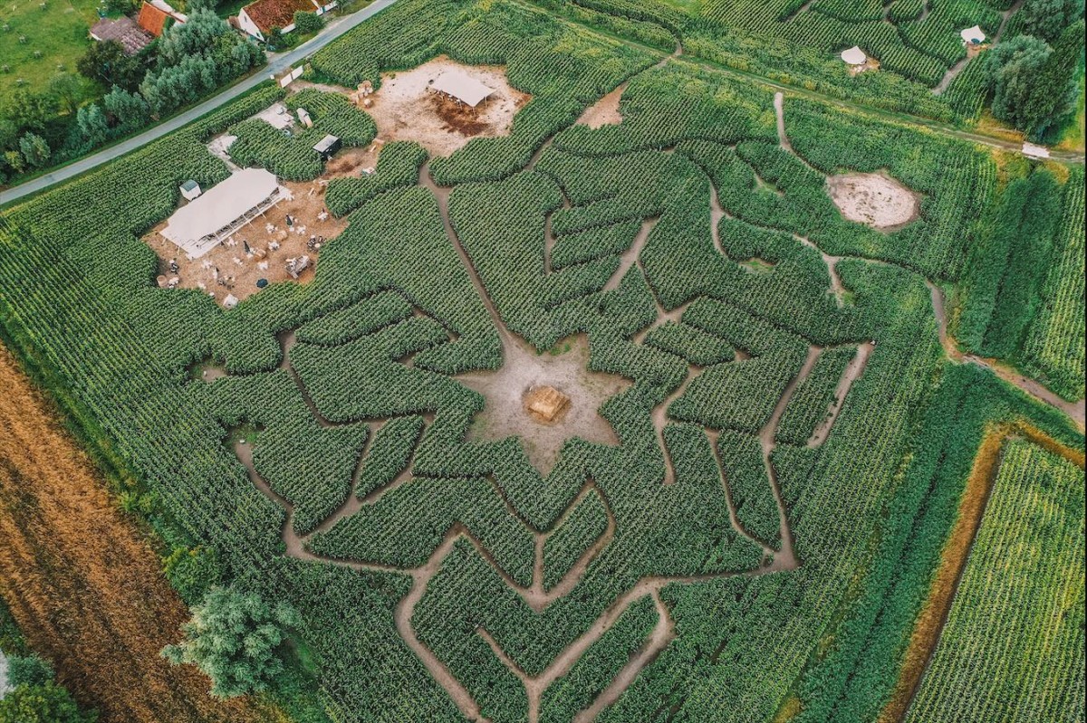 Maïsterplan