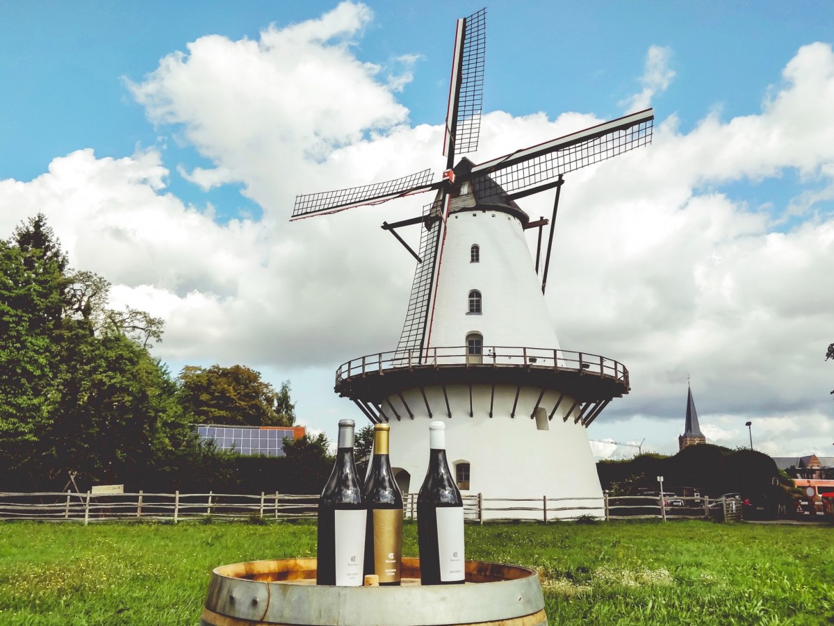 Wijndomein Oud Conynsbergh