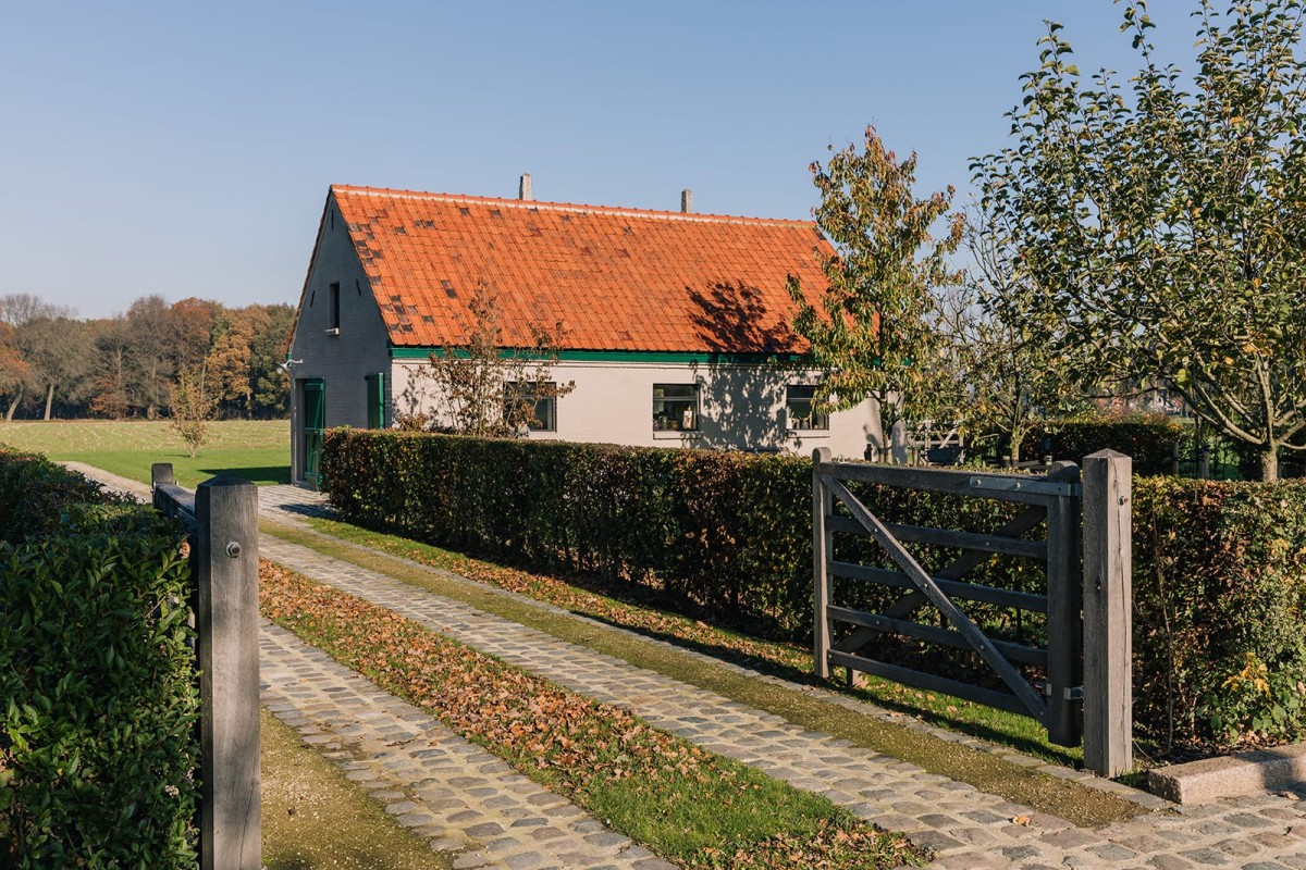 Stroyland