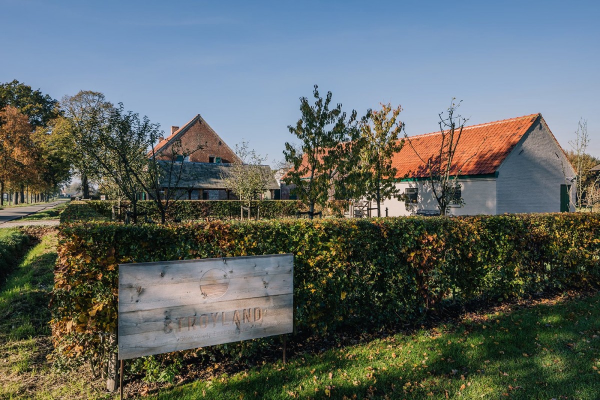 Stroyland