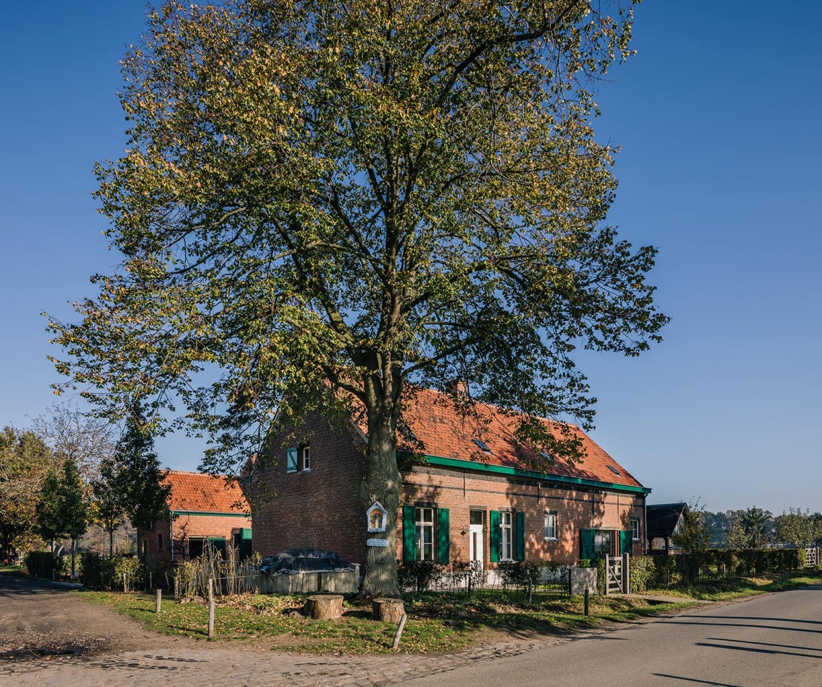 Stroyland