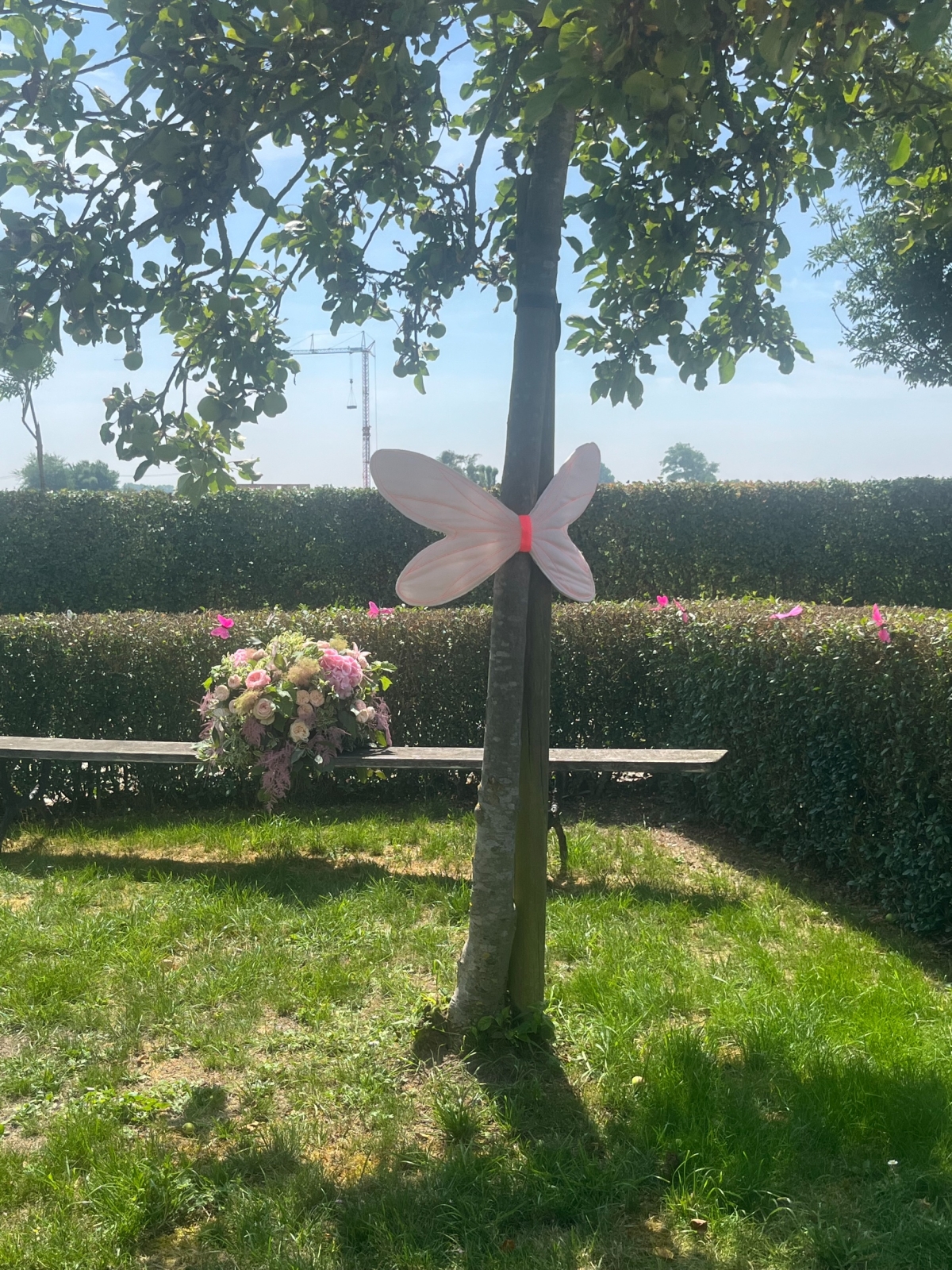 Hoeve Hazegras