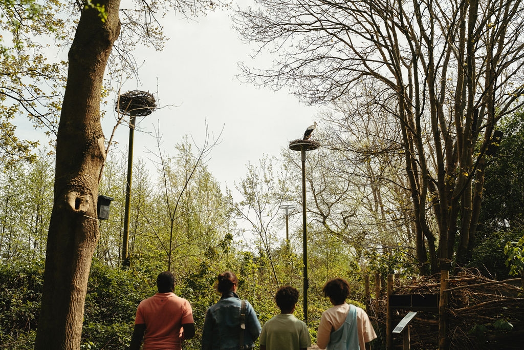 Zwin Natuur Park