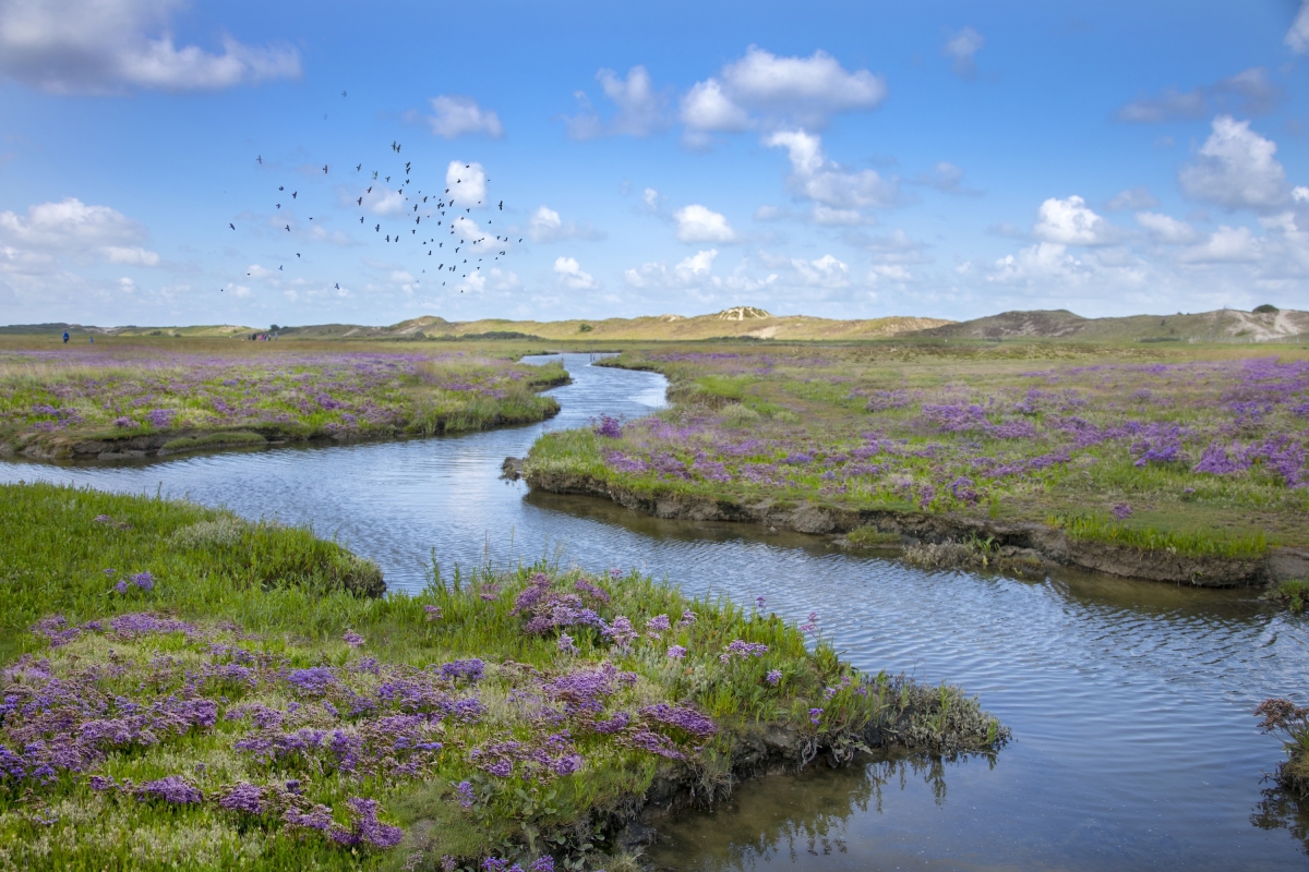 Zwin Natuur Park