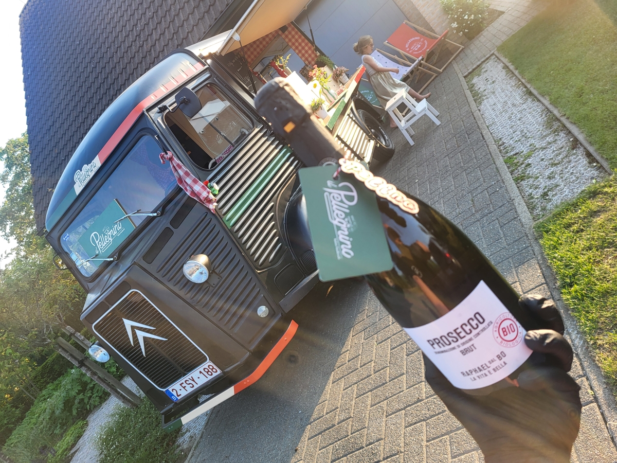 Il Pellegrino