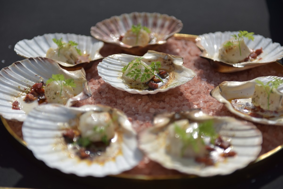 Ascendo Catering