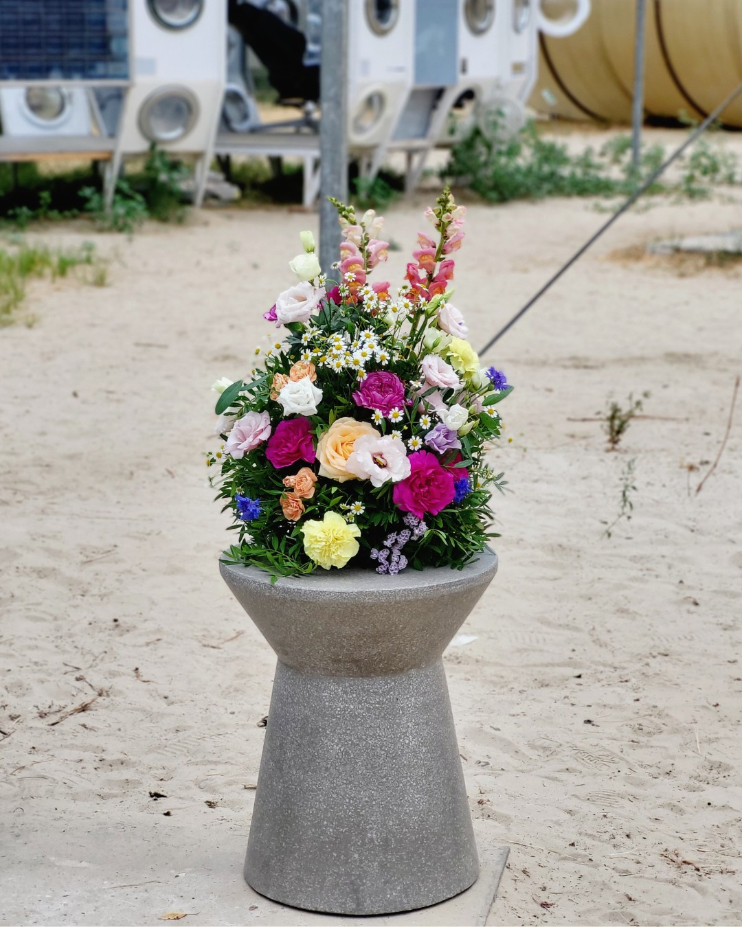 Flores Bloemen