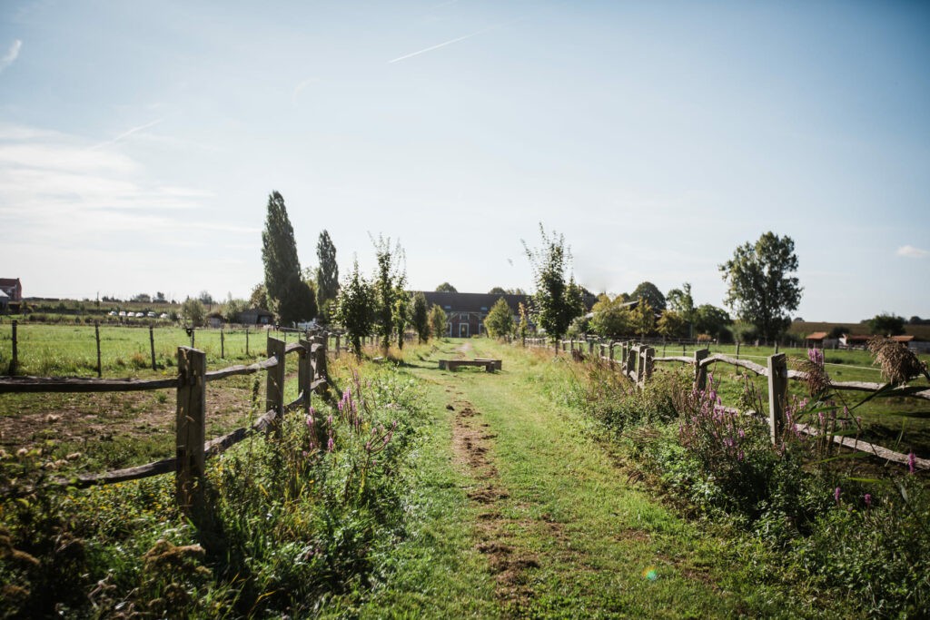Kasteelhoeve Wange