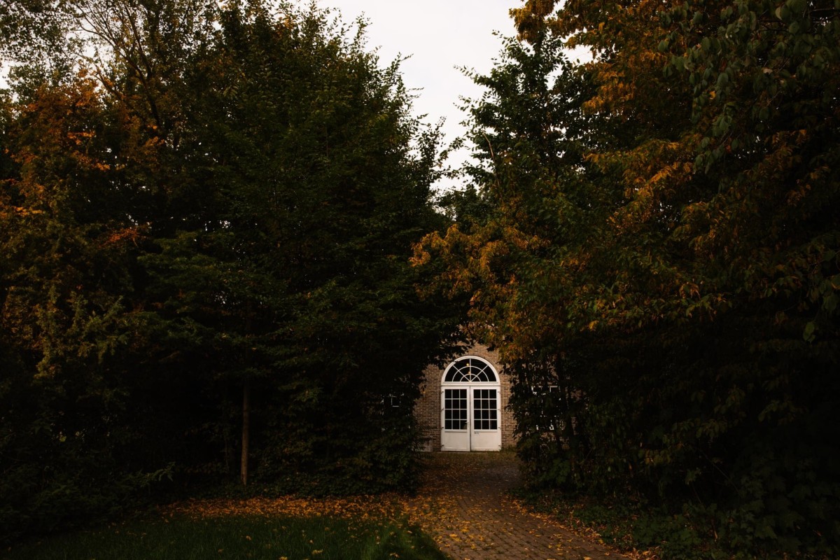 De Ganzerik