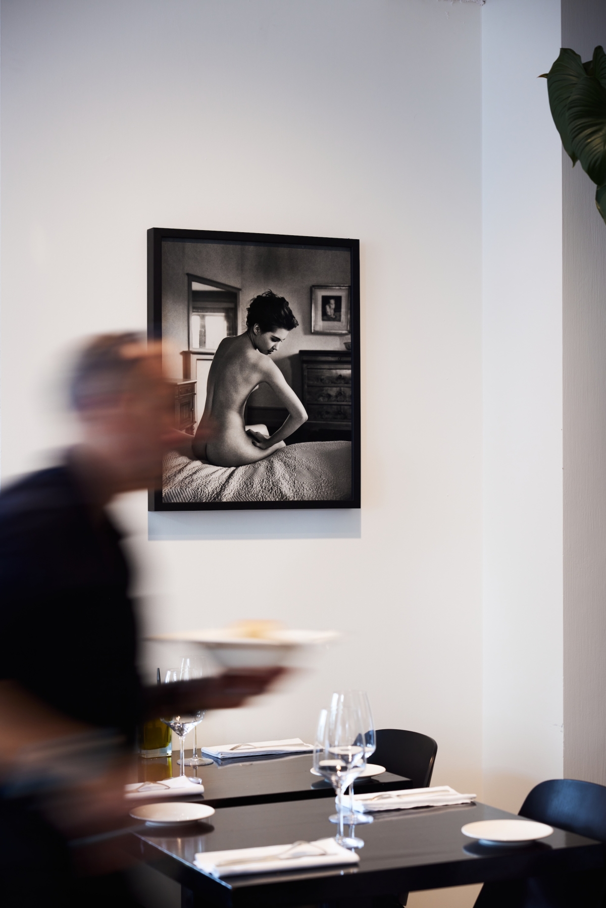 Ferrier 30