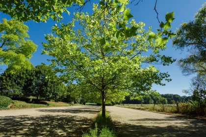 Stijlvol feest in een groene oase: Hof te Rhode is the place to be